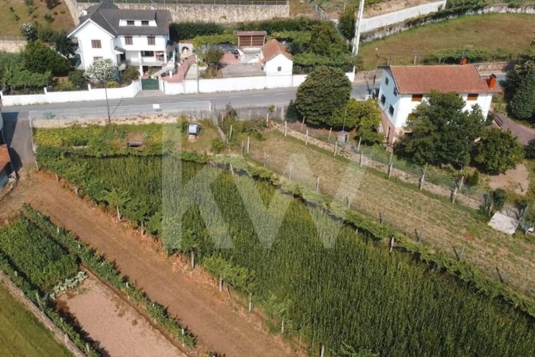 Terreno para Venda em Ossela Foto 1