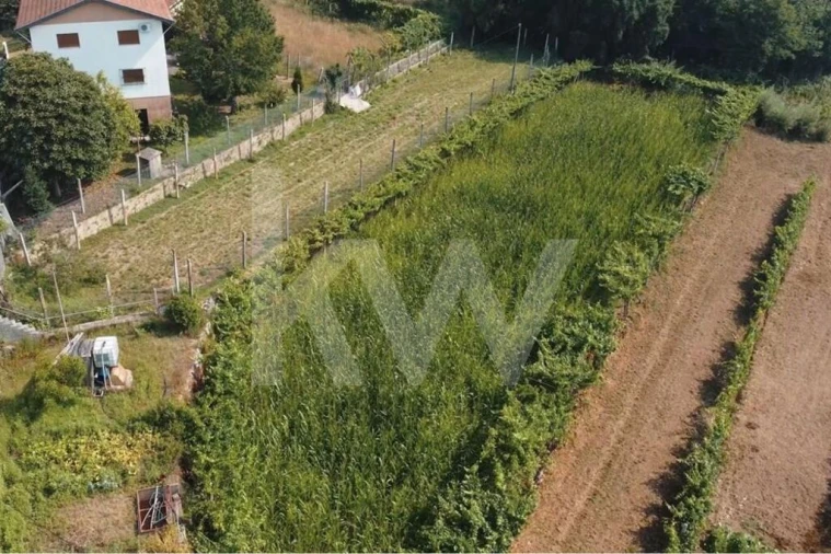Terreno para Venda em Ossela Foto 7