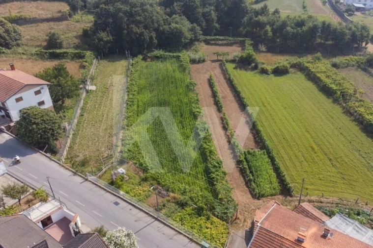 Terreno para Venda em Ossela Foto 2