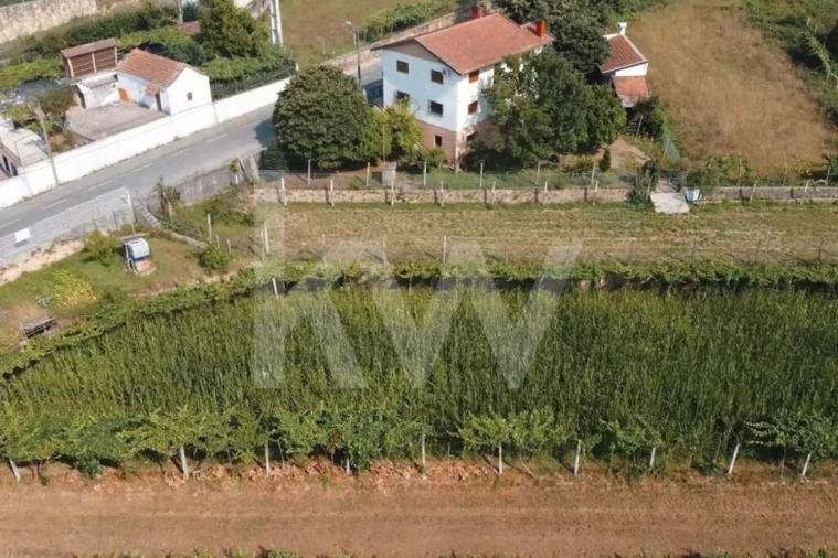 Terreno para Venda em Ossela Foto 8