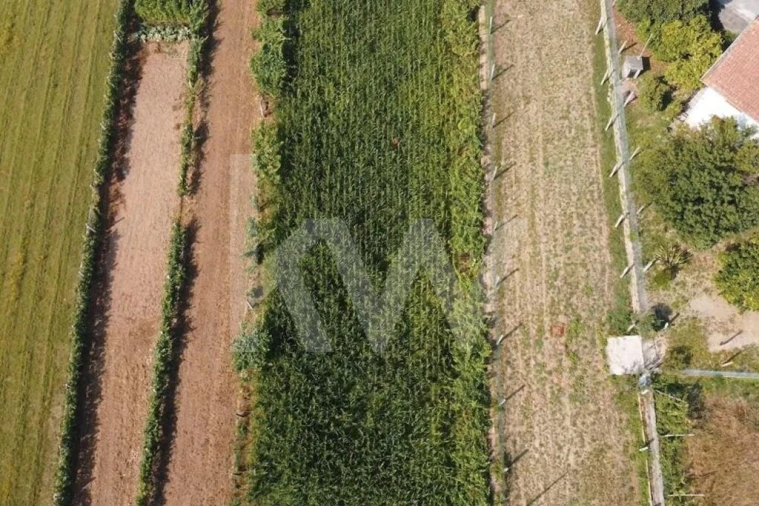 Terreno para Venda em Ossela Foto 9