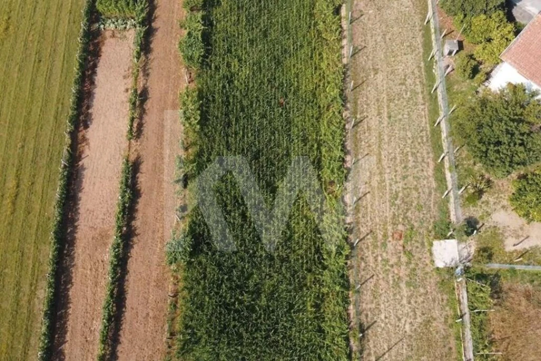 Terreno para Venda em Ossela Foto 9