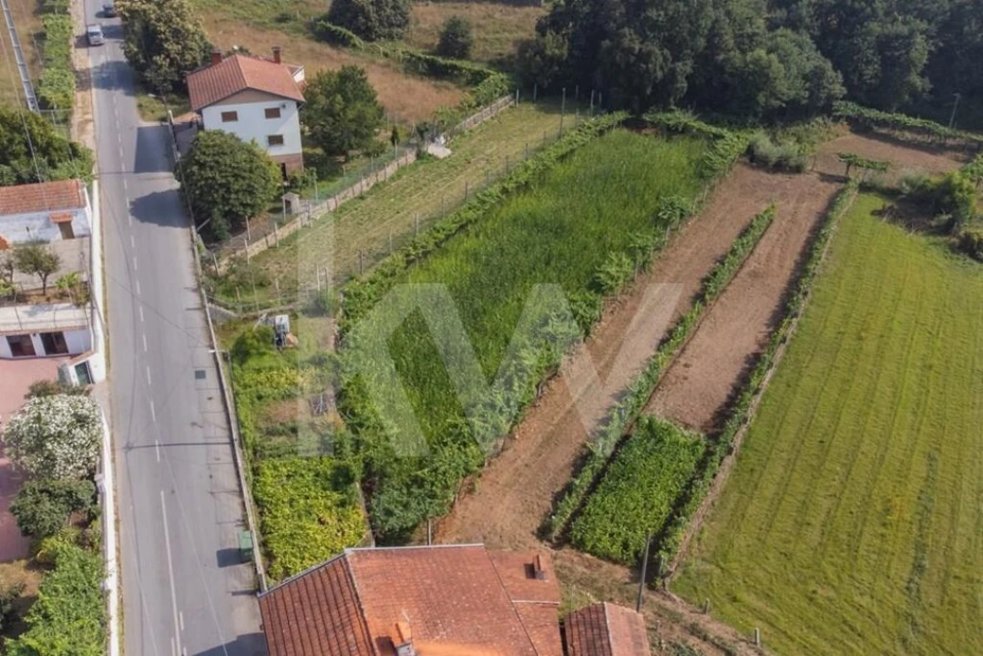 Terreno para Venda em Ossela Foto 5