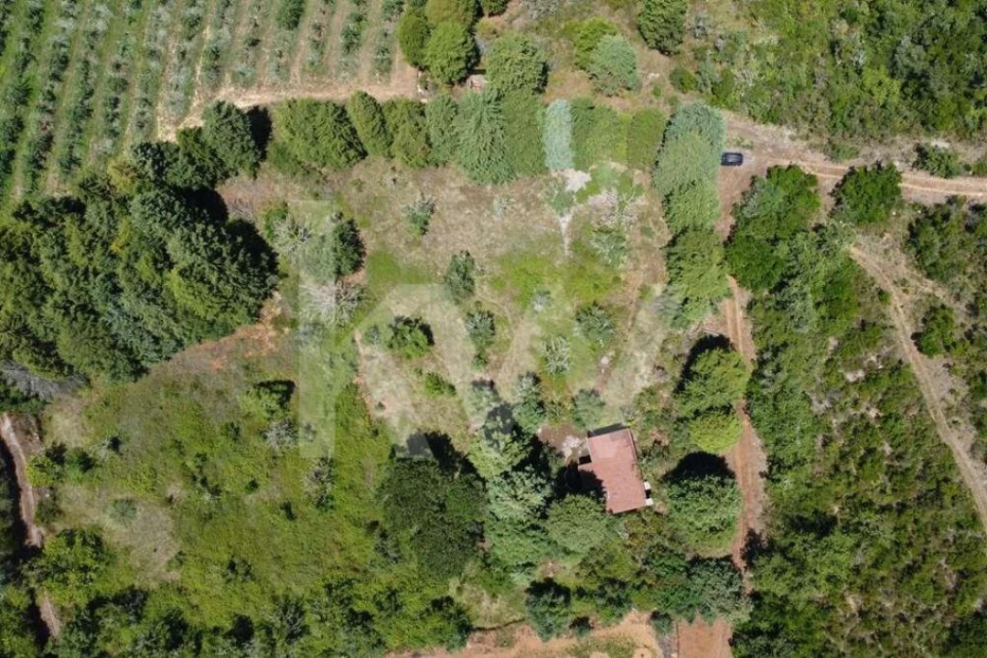 Terreno para Venda em Vila Seca e Bem da Fé Foto 23