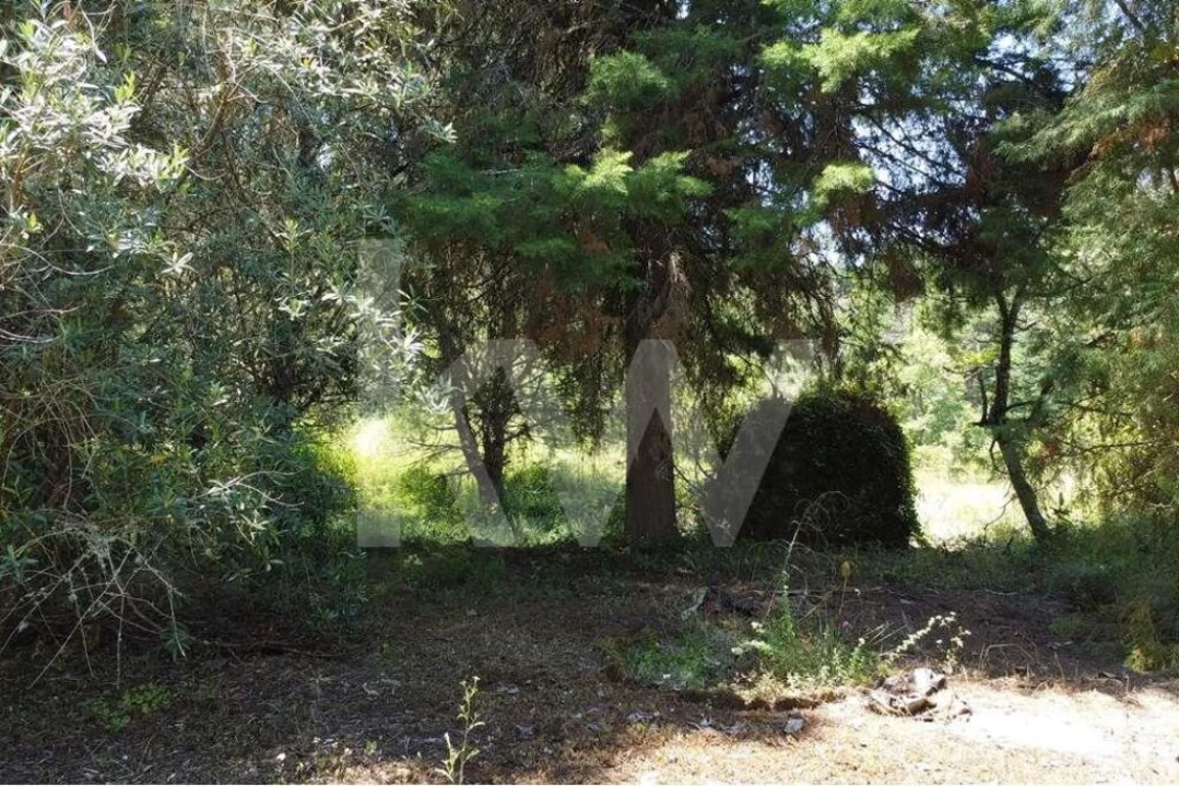 Terreno para Venda em Vila Seca e Bem da Fé Foto 18