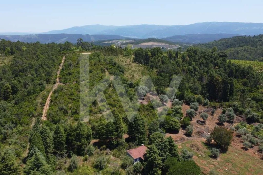 Terreno para Venda em Vila Seca e Bem da Fé Foto 3