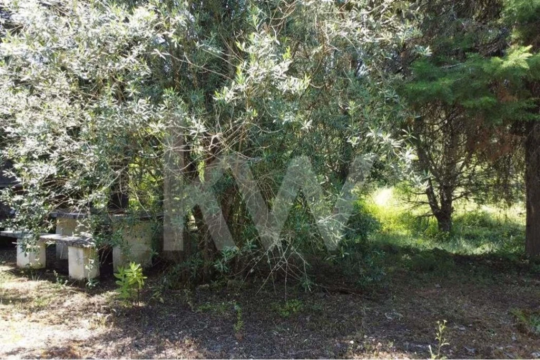 Terreno para Venda em Vila Seca e Bem da Fé Foto 16