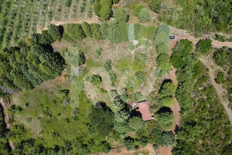 Terreno para Venda em Vila Seca e Bem da Fé Foto 23