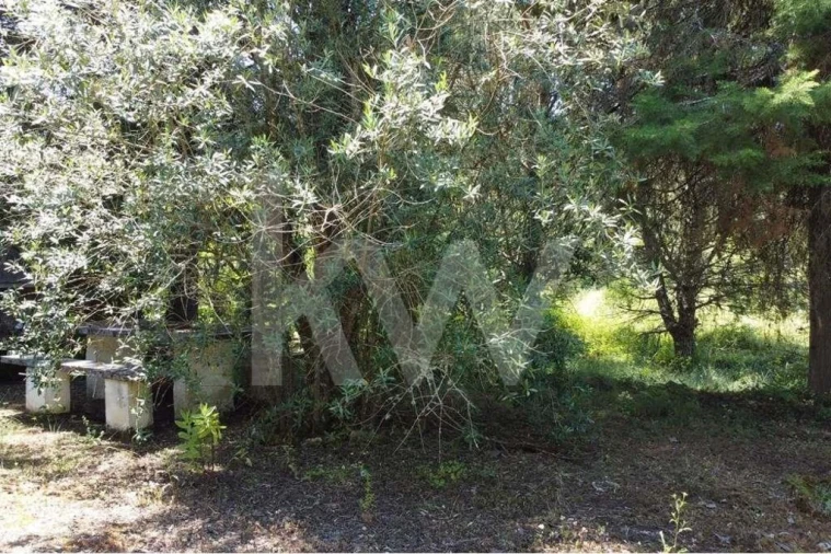 Terreno para Venda em Vila Seca e Bem da Fé Foto 16