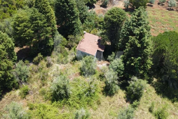 Terreno para Venda em Vila Seca e Bem da Fé Foto 22