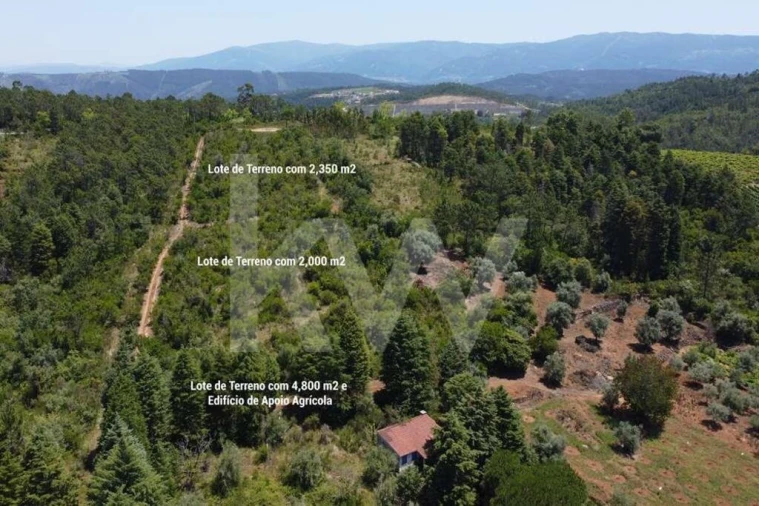 Terreno para Venda em Vila Seca e Bem da Fé Foto 2