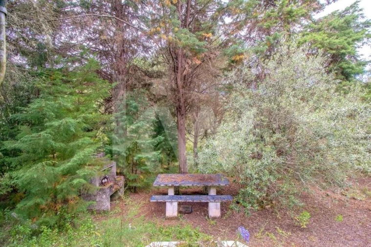 Terreno para Venda em Vila Seca e Bem da Fé Foto 12