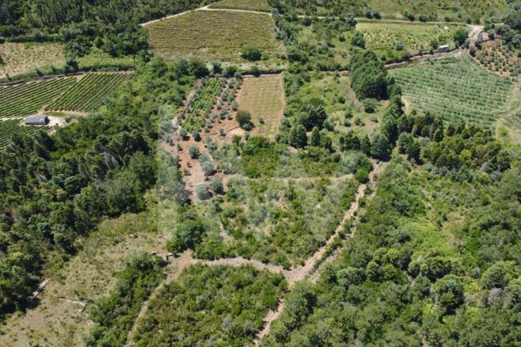 Terreno para Venda em Vila Seca e Bem da Fé Foto 24