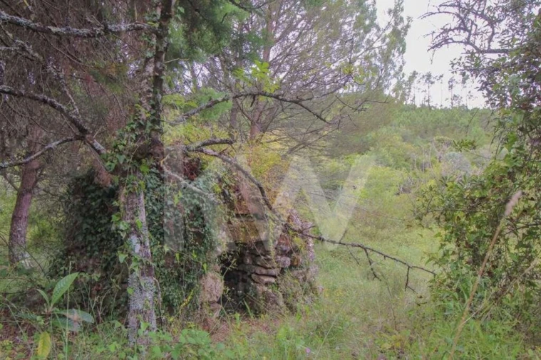 Terreno para Venda em Vila Seca e Bem da Fé Foto 14