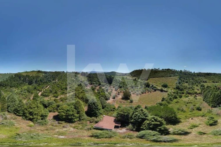 Terreno para Venda em Vila Seca e Bem da Fé Foto 26