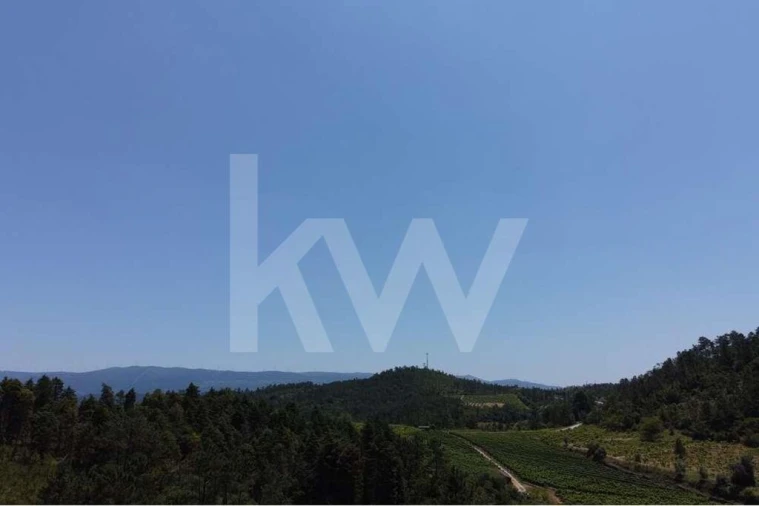 Terreno para Venda em Vila Seca e Bem da Fé Foto 25