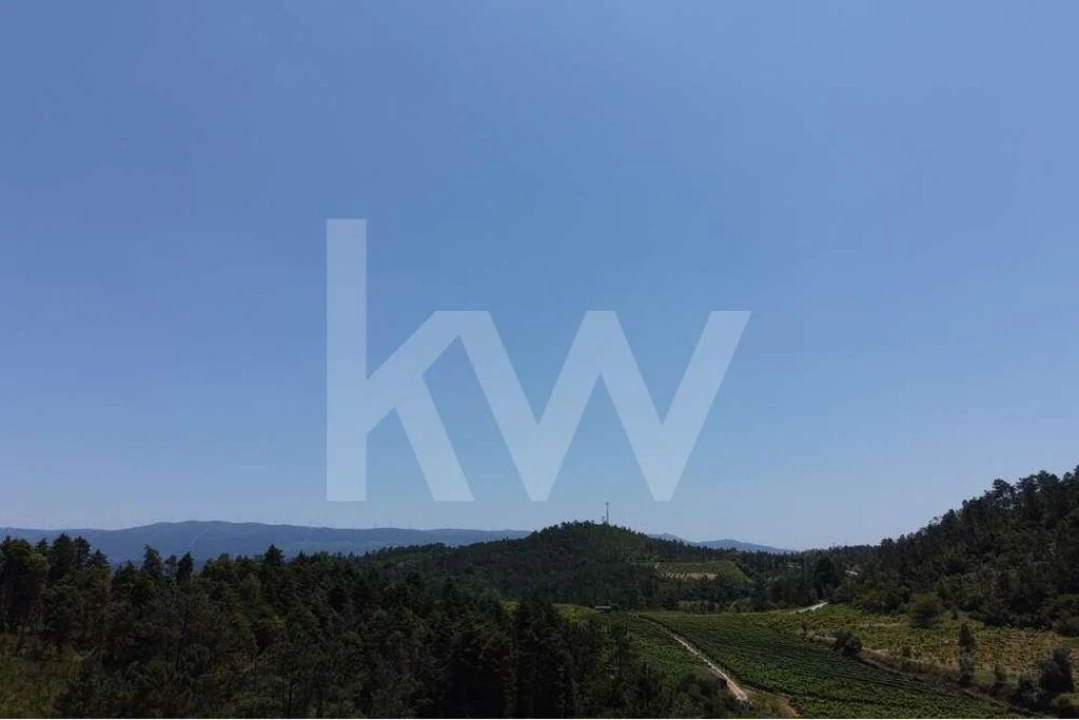 Terreno para Venda em Vila Seca e Bem da Fé Foto 25