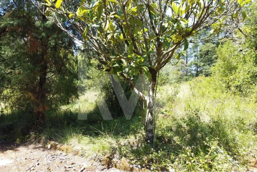 Terreno para Venda em Vila Seca e Bem da Fé Foto 19