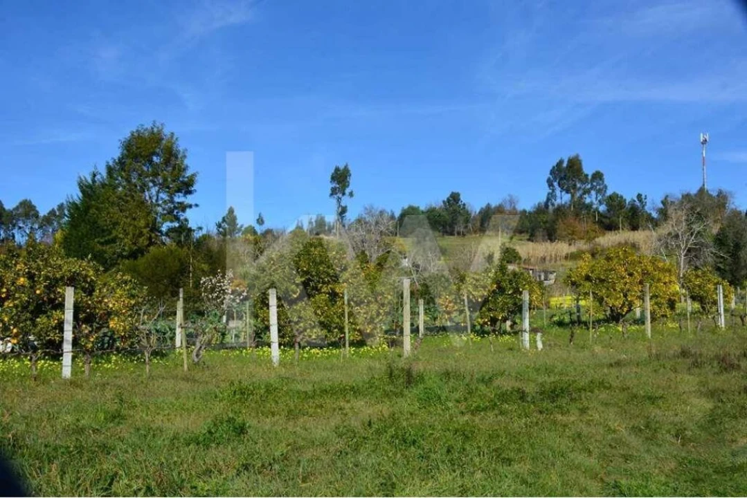 Terreno para Venda em Antuzede e Vil de Matos Foto 4