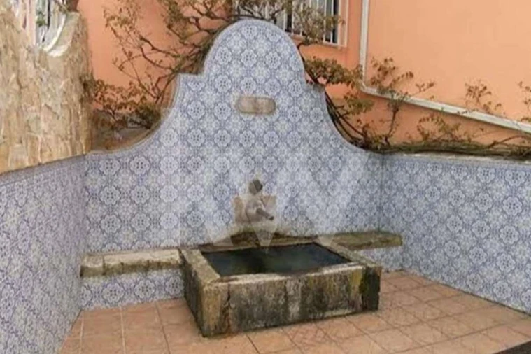 Terreno para Venda em Antuzede e Vil de Matos Foto 9
