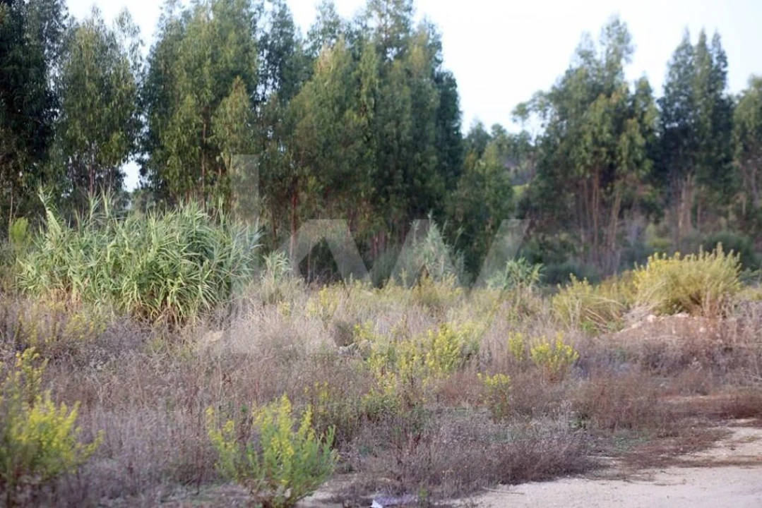 Terreno para Venda em São João das Lampas e Terrugem Foto 21