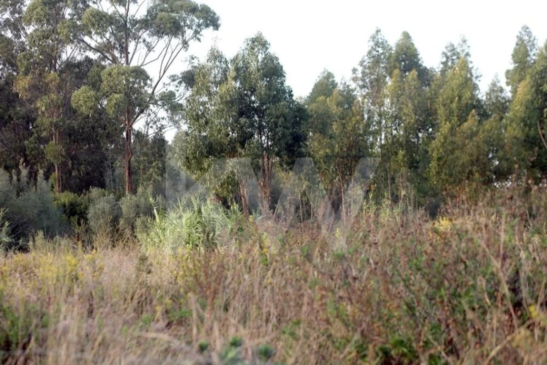 Terreno para Venda em São João das Lampas e Terrugem Foto 13