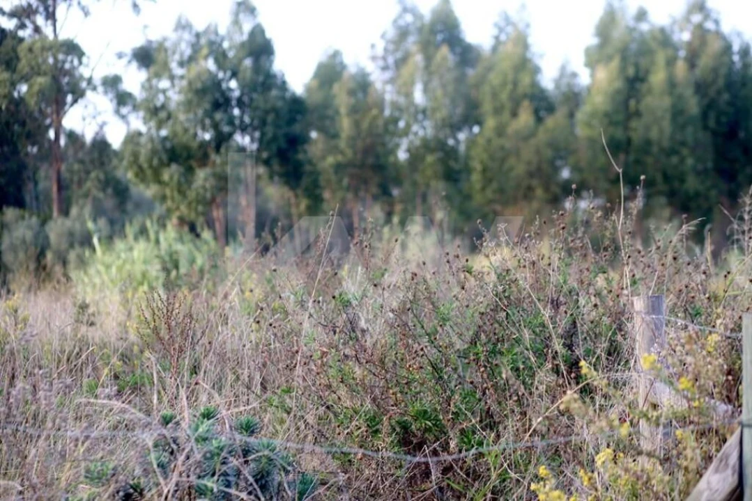 Terreno para Venda em São João das Lampas e Terrugem Foto 12