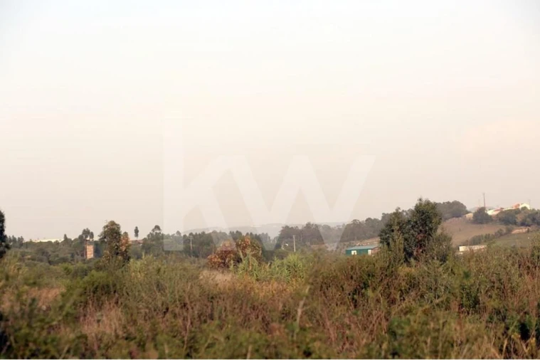 Terreno para Venda em São João das Lampas e Terrugem Foto 5