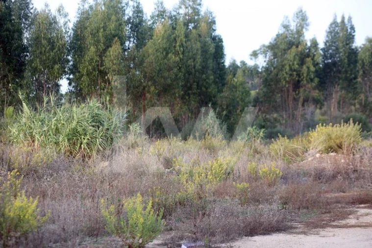 Terreno para Venda em São João das Lampas e Terrugem Foto 21