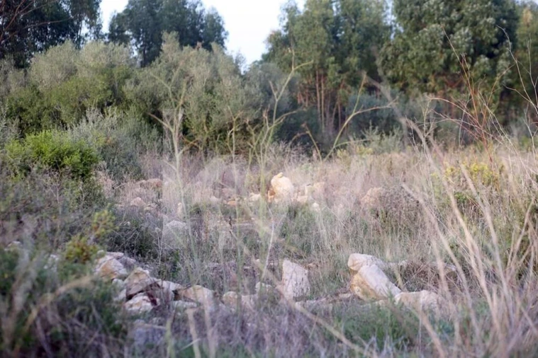 Terreno para Venda em São João das Lampas e Terrugem Foto 20