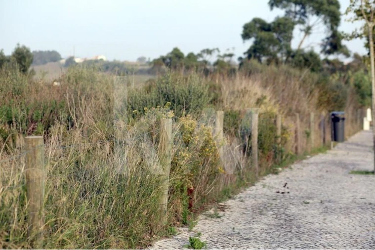 Terreno para Venda em São João das Lampas e Terrugem Foto 6