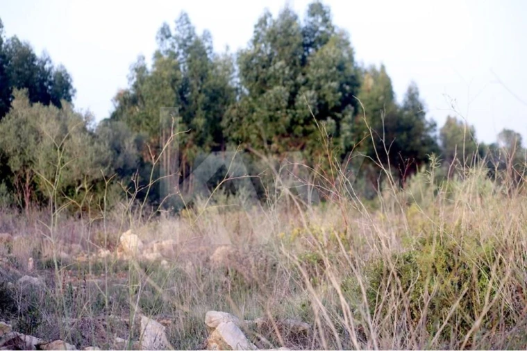 Terreno para Venda em São João das Lampas e Terrugem Foto 9