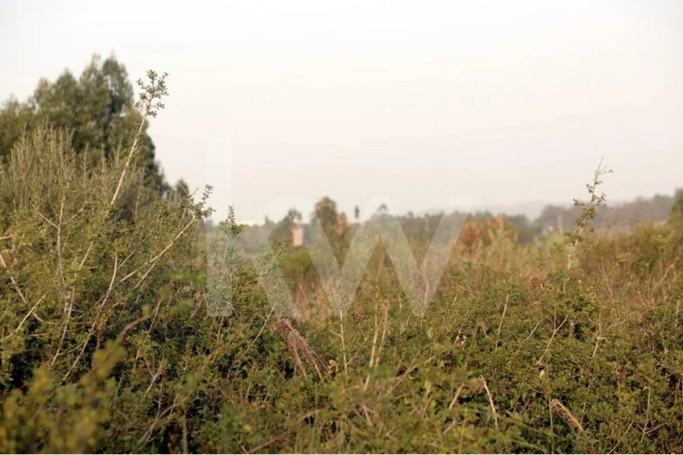 Terreno para Venda em São João das Lampas e Terrugem Foto 4