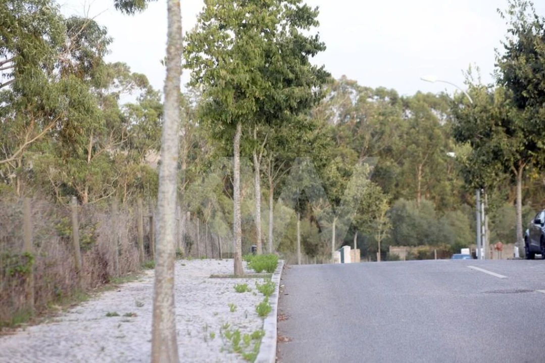 Terreno para Venda em São João das Lampas e Terrugem Foto 14