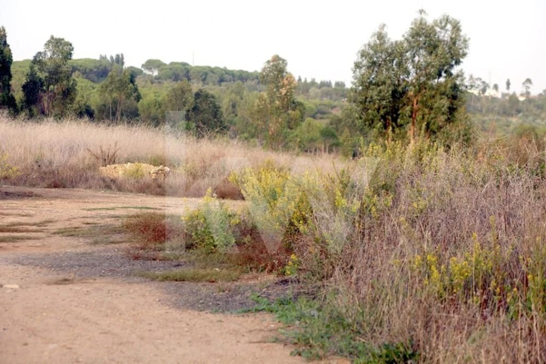 Terreno para Venda em São João das Lampas e Terrugem Foto 10