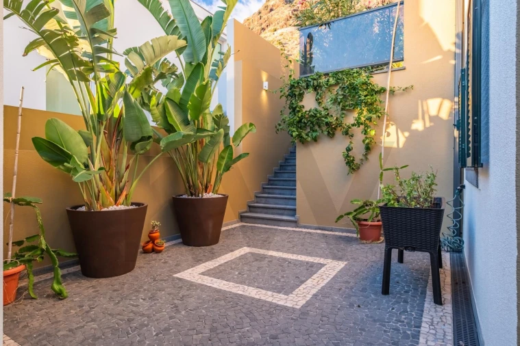 Moradia T3 para Venda em Paul do Mar Foto 12