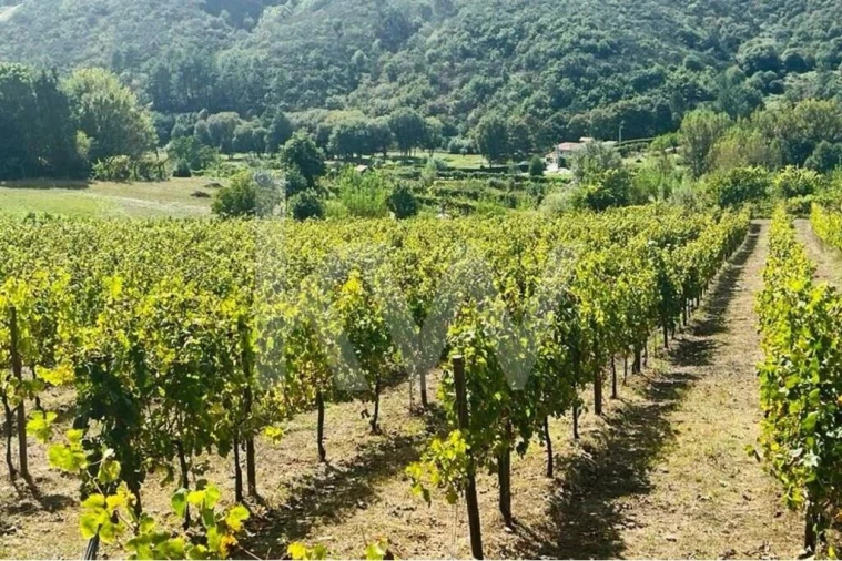 Terreno para Venda em Gove Foto 2