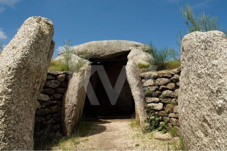 Terreno para Venda em Gove Foto 15