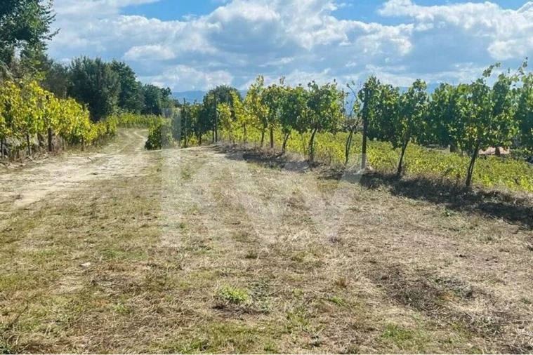 Terreno para Venda em Gove Foto 10