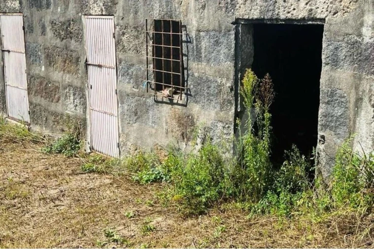 Terreno para Venda em Gove Foto 4