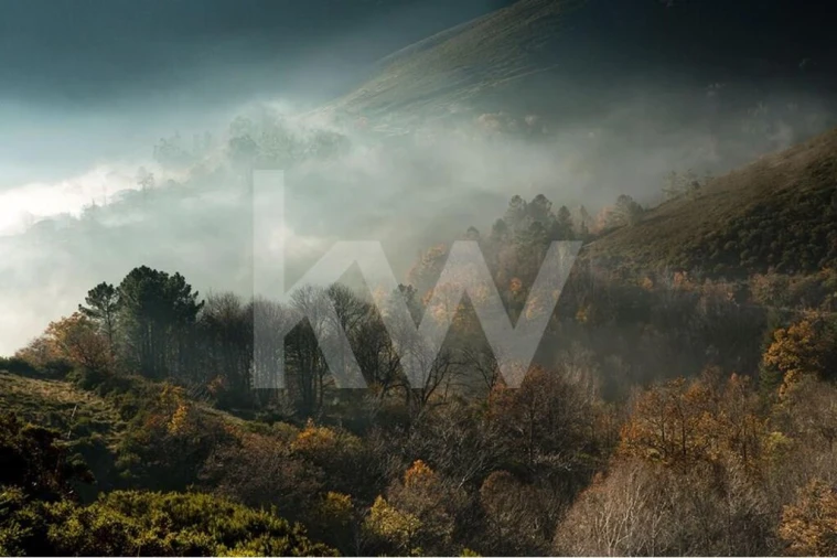 Terreno para Venda em Gove Foto 13