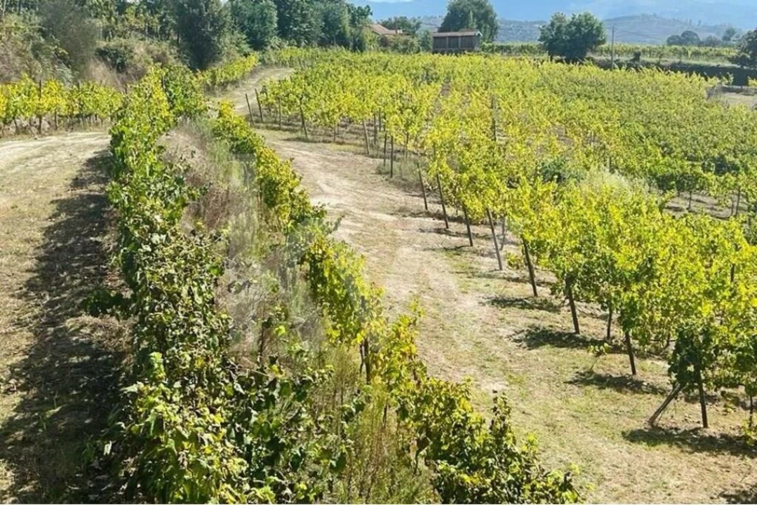 Terreno para Venda em Gove Foto 6