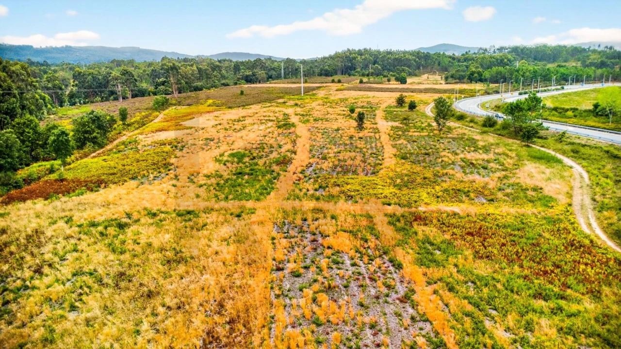 Terreno para Venda em Cerdal Foto 16