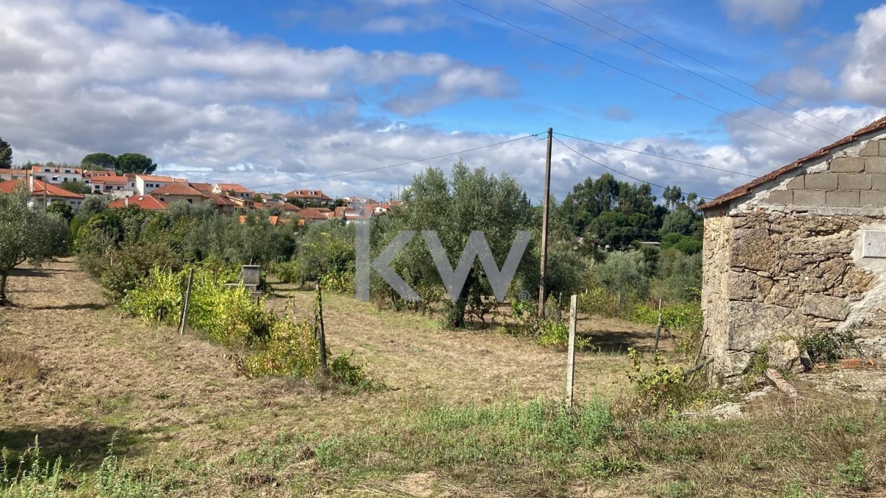 Terreno para Venda em Midões Foto 2