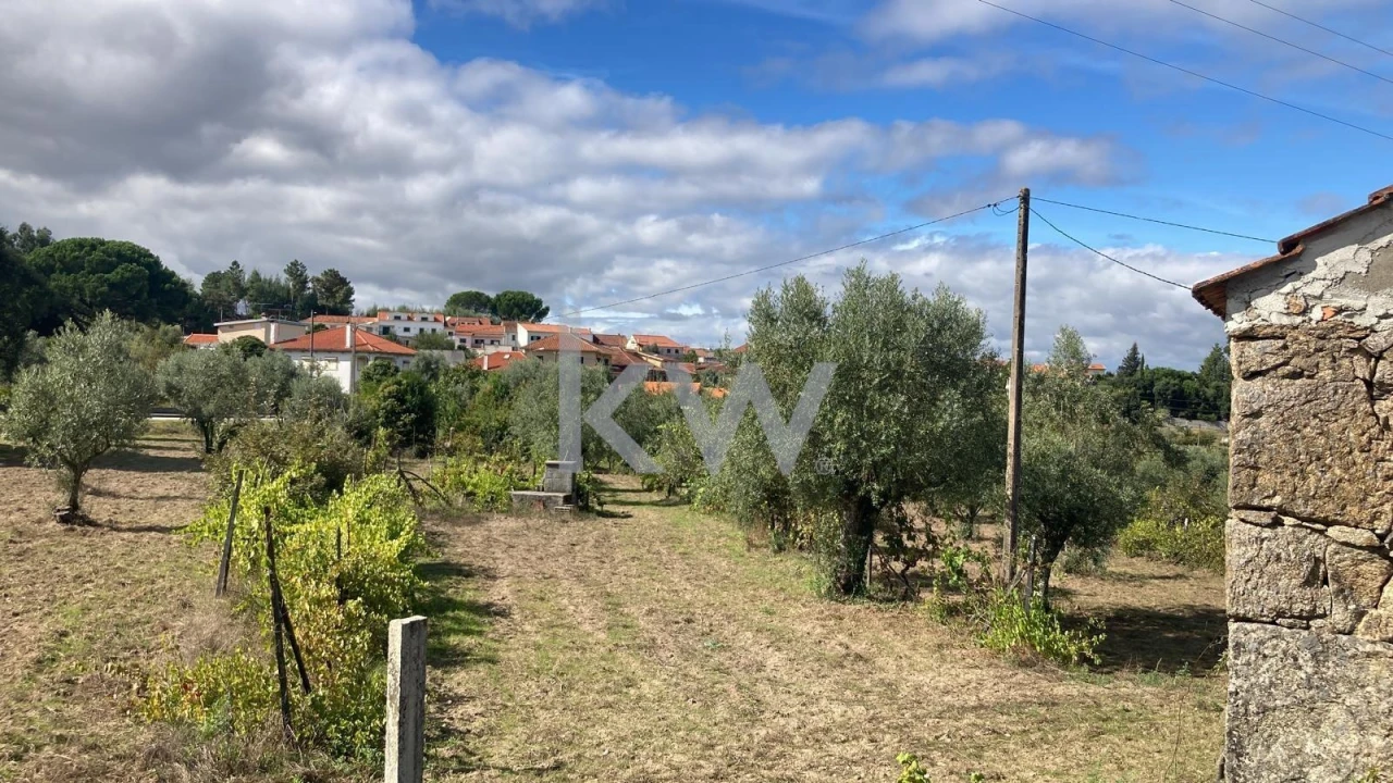 Terreno para Venda em Midões Foto 3