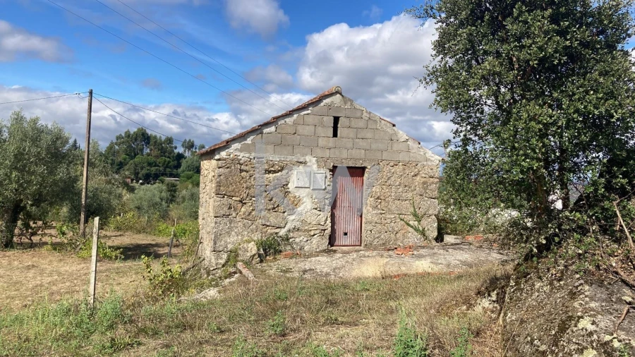 Terreno para Venda em Midões