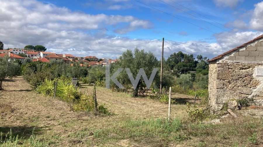 Terreno para Venda em Midões Foto 2