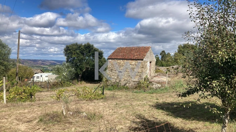 Terreno para Venda em Midões Foto 4