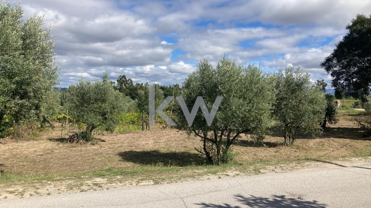 Terreno para Venda em Midões Foto 5