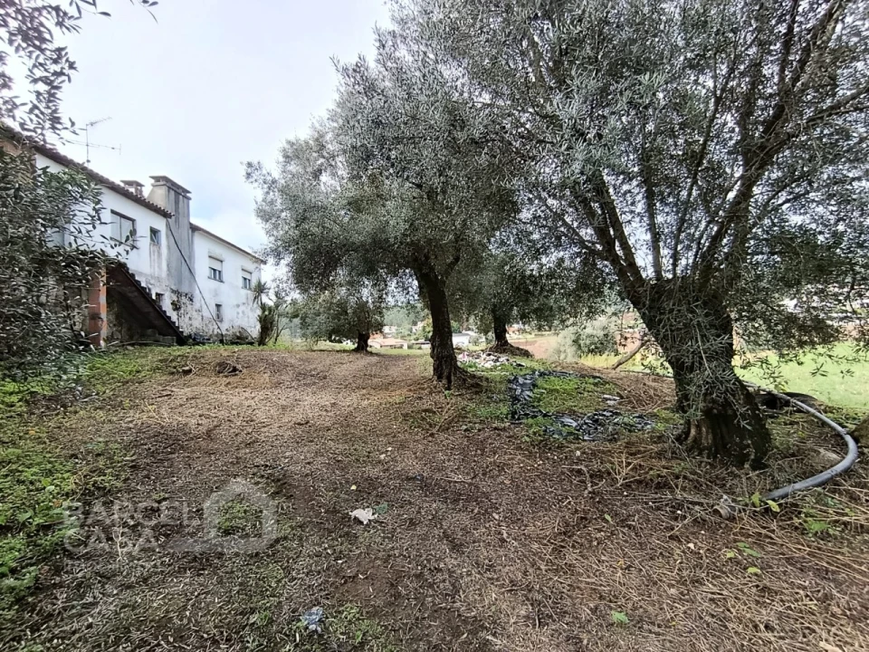 Moradia T4 para Venda em Alheira e Igreja Nova Foto 13